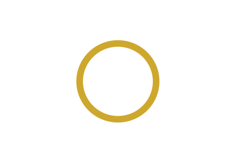 vision-img